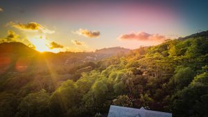 Wakacyjny raj na Seszelach - opowieść o tropikalnym raju na ziemi