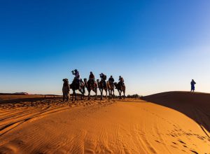 Wspomnienia z wyprawy na pustynię Saharę