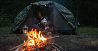 Jak korzystać z campingów?