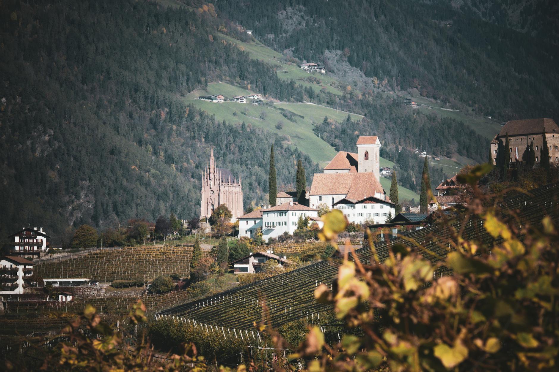 Sprawdź prognozę pogody