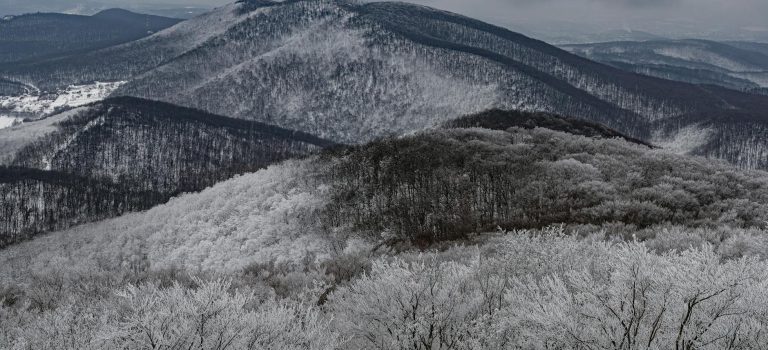 Spotkanie z historią i kulturą Europy Wschodniej - podróżnicze odkrycia