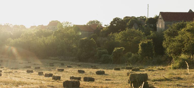 Jak znaleźć prawdziwy spokój? Noclegi w Gorcach z dala od tłumów Kameralne noclegi w Gorcach – agroturystyka z dala od zgiełku, w sercu górskiej przyrody.