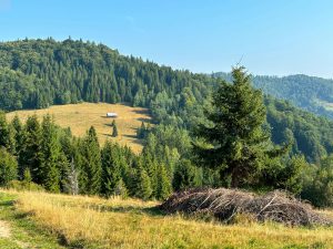 zdjęcie z widokiem na góry i chatkę
