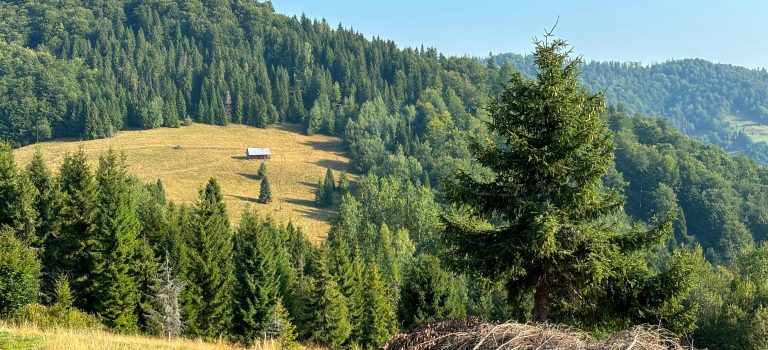 zdjęcie z widokiem na góry i chatkę